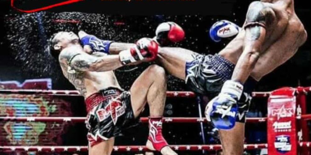 WMO Brasil – Supported by Royal Thai Embassy