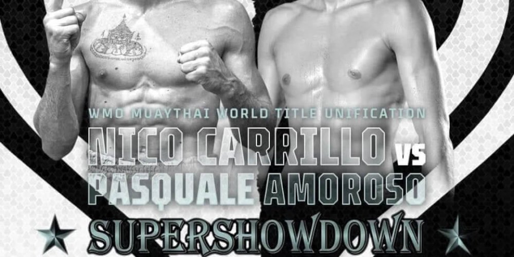 WORLD TITLE UNIFICATION FIGHT