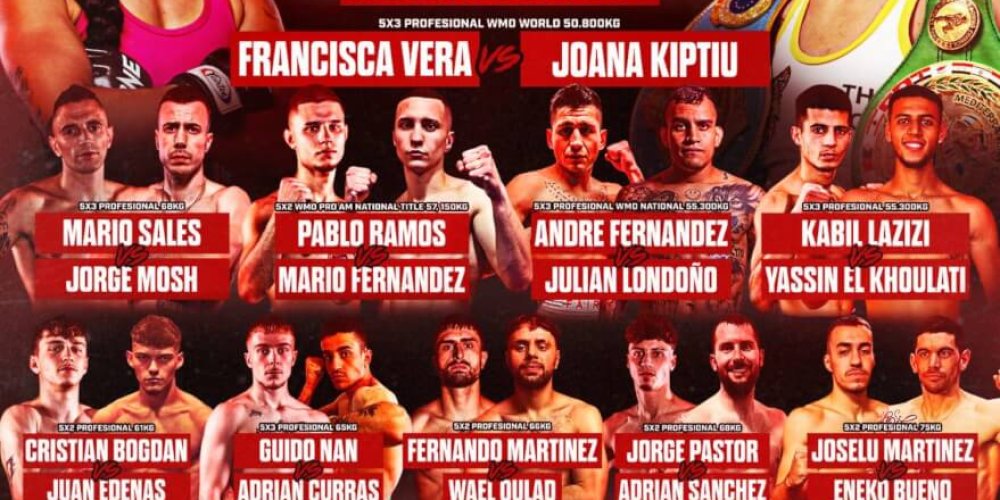 Free Fighters – WMO Spain