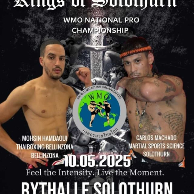 Kings of Solothurn