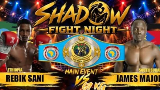 Shadow Fight Night – WMO Title