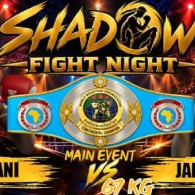 Shadow Fight Night – WMO Title