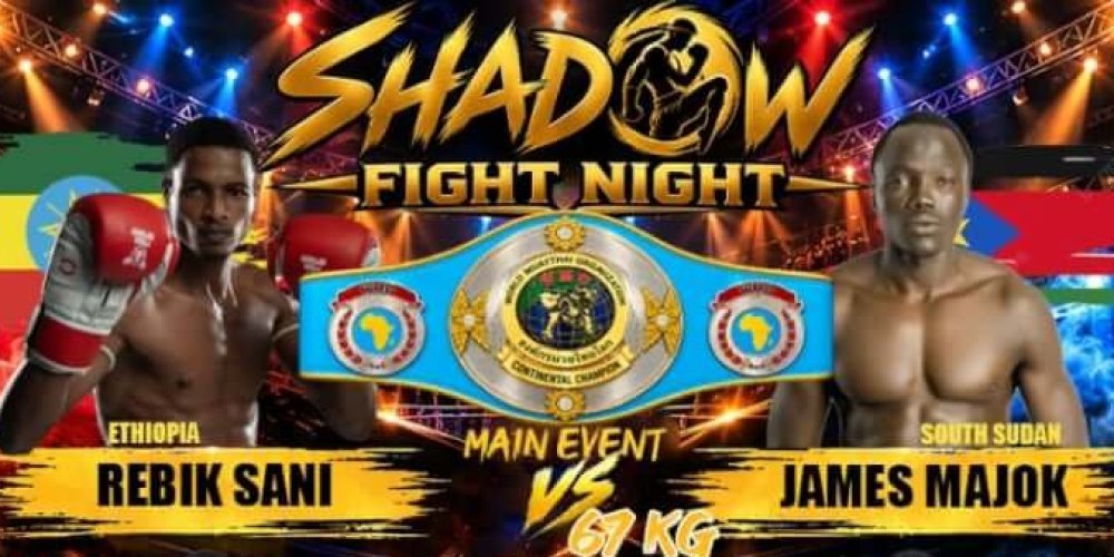 Shadow Fight Night – WMO Title